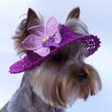 Hat For Dog Orchid Dog Sun Hats Party Hats For Etsy In 2020 Dog Beanie Dog Clothes Diy Crochet Dog Hat