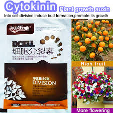 Check spelling or type a new query. Cytokinin Plant Hormones Improve Vegetable Flower Fruit Tree Better Product And Grow Delaying Leaf Senescence For Garden Bonsai Big Offer A066 Goteborgsaventyrscenter