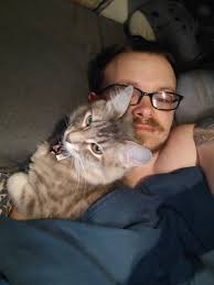 Cats' favorite sleeping spots under blankets