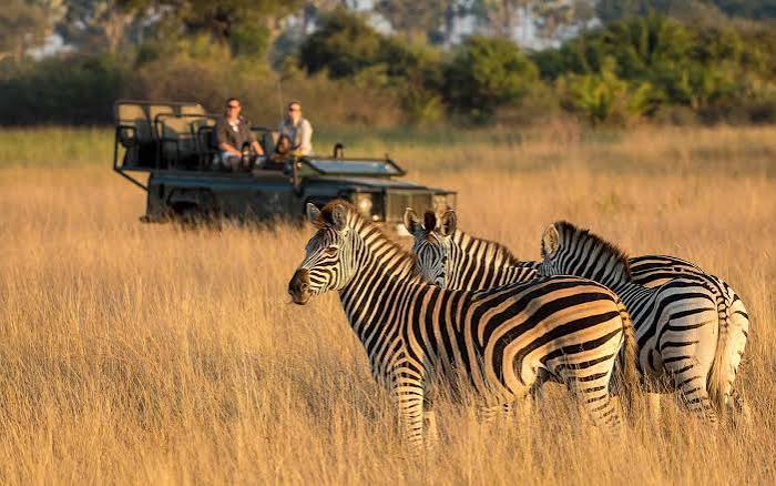 Africa Wildlife & Safari Tours | Adventure Travel Company | MT Sobek