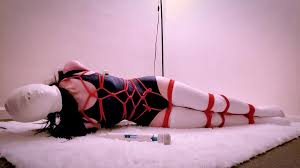 Onepiece bikini & selfbondage armbinder