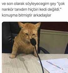 mejustme adli kullanicinin guzel soz panosundaki pin komik seyler komik capsler komik