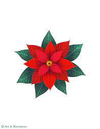 Christmas Poinsettia Flower Illustration Flower Illustration Christmas Prints Christmas Illustration