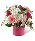 Order flowers online from a local flower shop in virginia beach, va. Florist Flower Shops In Manakin Sabot Virginia Va Same Day Delivery By A Local Florist In Manakin Sabot