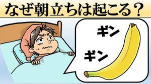 科学】なぜ朝立ちが起こるの？ - YouTube