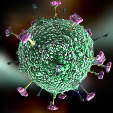 Nipah virus outbreaks in bangladesh. Nipah Virus Emerging Threat To Human Health