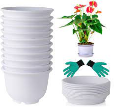 17cm/6.7inch improve the resistance of potted plants. Amazon Com 12 Pack 6 Inch Plant Pots White Small Planter For Indoor Plants Plastic Flower Pots With Drainage Holes And Saucers Seeding Nursery Bulk Home Kitchen