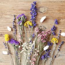 As a result of seeing how excessively priced cut flowers were. Rainbow Brights Cut Dried Flowers Letterbox Gift Lisa Angel