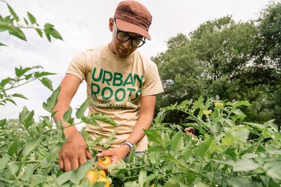 Urban Roots | Amplify Austin Day