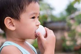 Menurut usda, sebutir poach egg memiliki k72 kalori, namun sebutir telur rebus memiliki 78 kalori. Telur Ayam Telur Puyuh Atau Telur Bebek Mana Yang Terbaik Untuk Bayi Alodokter