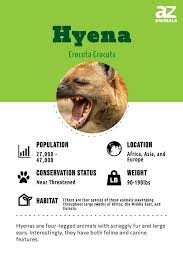 Image result for Heinsenia