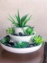 Get directions, reviews and information for dollar tree stores in utica, mi. Dollar Store Cheap Indoor Succulent Planter Idea Succulent Arrangements Diy Indoor Succulent Planter Succulent Planter