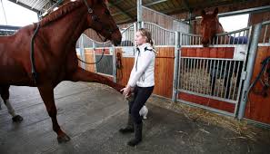 Fanny 29 Ans Comment Je Suis Devenue Osteopathe Animaliere L Etudiant