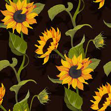Check spelling or type a new query. Sunflower Vector Seamless Pattern Floral Texture On Black Background Stock Images Sunflower Illustration Floral Texture Black Backgrounds