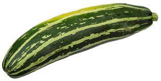 Zucchini Wikipedia