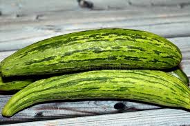 Image result for Cucumis meeusei