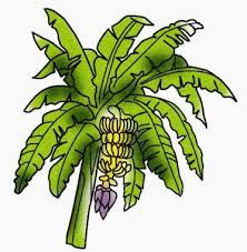 We did not find results for: Pisang Wallpapers Free Pisang Wallpaper Download Wallpapertip