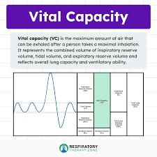 Image result for Vital Capacity