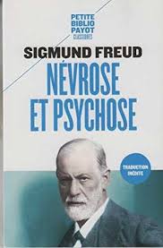 Une hallucination se dnit en tant que perception sensorielle en l'absence de stimulus externe. Nevrose Et Psychose Petite Bibliotheque Payot French Edition Freud Sigmund Casanova Nicole Neuburger Robert 9782228909952 Amazon Com Books