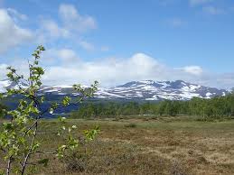 Vid ammarnäs, en liten fjällby vid vägs början, förenas tjulån och vindelälven. Ammarnas Photos Featured Images Of Ammarnas Vasterbotten County Tripadvisor