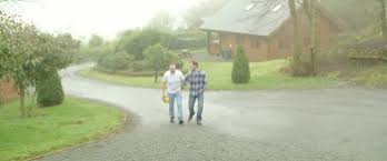 Maybe in the future i can see what it's like when there's more people. Cabin 28 2017 Yify Download Movie Torrent Yts