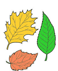 Plus they are so good for kids as if you are looking for even more free printable, simple coloring pages for kids, you will love these resources Free Coloring Pages