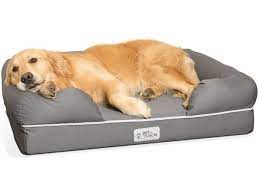 Instead, opt for something soft and pillowy, which. The Best Dog Beds For Home Travel And More