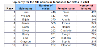 Carla houston kaitlyn kristy sally selcen stochliya abigail akon obro candice cromwell samantha smith claire divas ashley rosa jillian wyatt natosha jacobs elizbeth smith priscilla alexis canales crystal waston janet chua penny albritton jimena canavesi emma. What Were The Most Popular Baby Names In Your State In 2020 Wowk 13 News