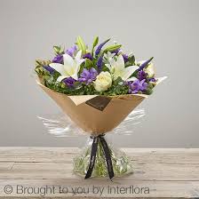 Iced Violet Mary S Florist Halifax