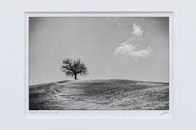Check spelling or type a new query. Platinum Palladium Prints Artigianal Black And White Prints