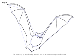 Learn How To Draw A Big Brown Bat Other Animals Step By Step Big Brown Bat Art Bat