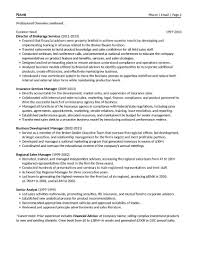 How to write a financial analyst job description. Business Development Resume