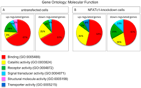 Cells Free Full Text Gene Expression Profiling Of Nfatc1
