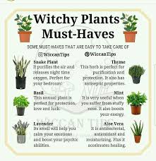 Pin By Kahve On Diy Decor Ideas Witch Herbs Witchy Garden Witch Garden