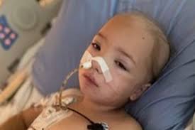 Fundraiser for Nadia Hogan by Teena Sandhu : Princess Lilly's Journey of  strength