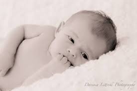 Davinia Littrell Photography