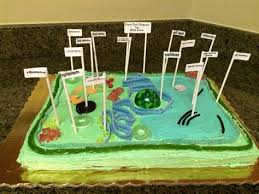 When you purchase a digital subscription to cake central magazine, you will get an instant and automatic download of the most recent issue. Cookie Cake Plant Cell Shefalitayal