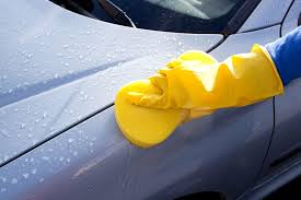 Wash off the mirrors to drive and respray when you return to the bird's territory. Ways To Protect Your Car From Bird Poop The News Wheel