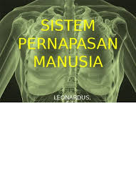 Hewan yang mengalami daur hidup yang sama dengan hewan pada gambarberikut adalah.a. Bab 4 Sistem Pernapasan Pada Manusia