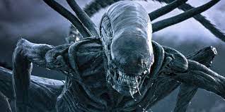 Noun often disparaging and offensive. Ridley Scott Has More Alien Movie Ideas And They Sound Wild Cinemablend