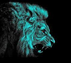 Epingle Par أسية ام خديجة الروسية Sur اسد Lion Fond D Ecran Lion Fond Ecran Animaux Fond Ecran