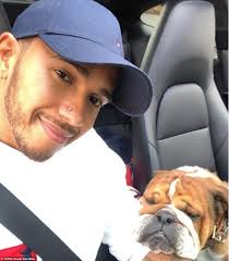 Beaches, backstage passes and private jets for pets: Meet the rich dogs of  Instagram