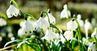 Cerul va fi variabil, cu înnorări temporar accentuate în bucurești, vremea va deveni instabilă. Prognoza Meteo Cum Va Fi Vremea SÄƒptÄƒmana Viitoare