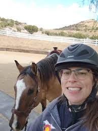 Misassembled Equestrian Display