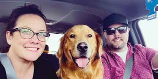 ARE YOU A golden retriever BELIEVER? golden retriever