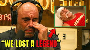 Rodney by Steiff 1 of 3,000 from Danbury Mint