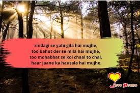 Now i've learned, the hard way, that some poems don't rhyme, and some stories don't have a. Top 75 Shayari In Roman English Shayari In Hindi 2020 Love Poems In Hindi Shayari In Hindi Love Quotes In Hindi