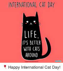 International cat day is a celebration which takes place on 8 august of every year. International Cat Day Life It S Better With Cats Around Copyright C 2015 Wwwmocormicom Happy International Cat Day Cats Meme On Me Me