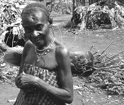 Image result for Sarcophrynium brachystachyum