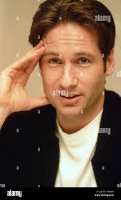 David duchovny 1990s hi-res stock photography and images